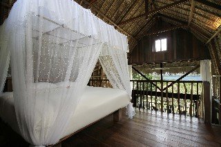 Hotel Novus Gawana Resort & Spa