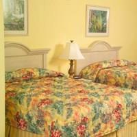 Hotel El Caribe Resort & Conference Center