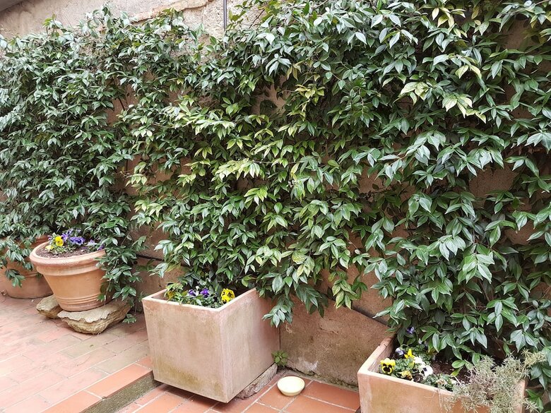 Apartamento Casa Bardi