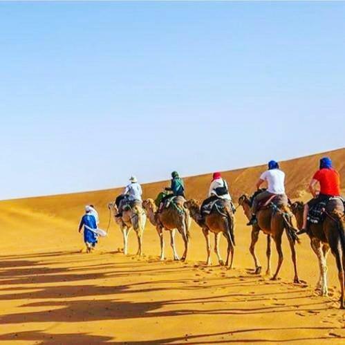 Bed & Breakfast Camels House