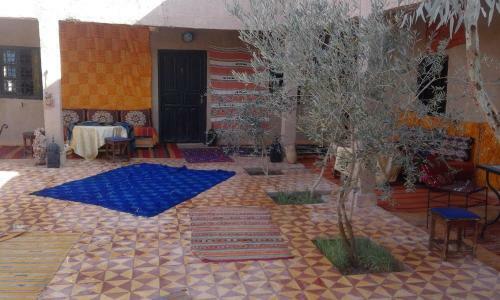 Bed & Breakfast Camels House