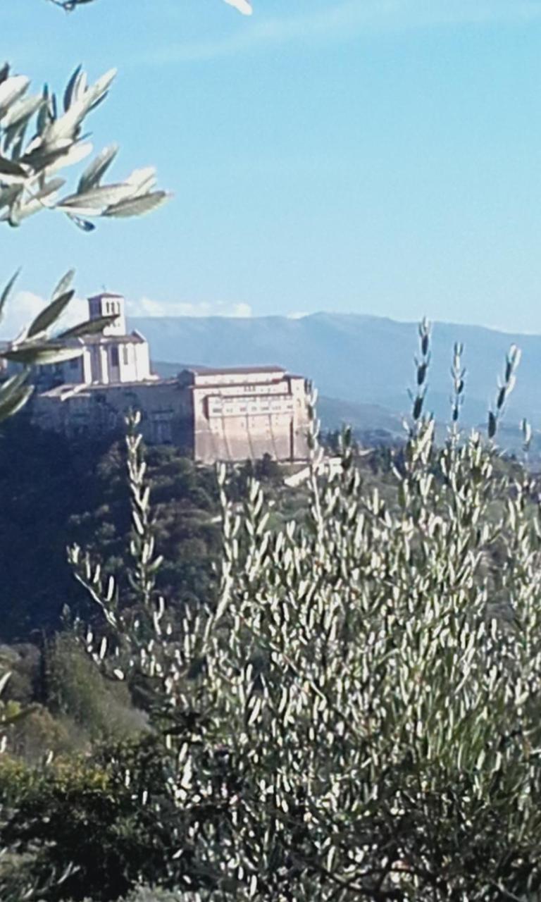 Agroturismo B&B Colle San Francesco