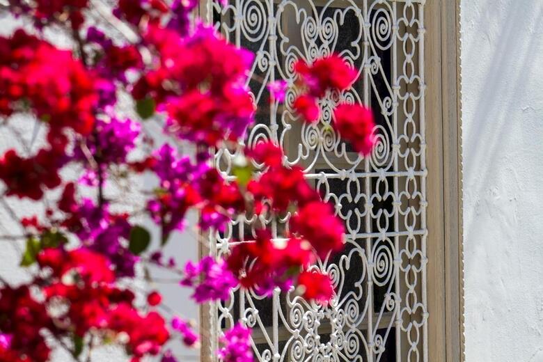 Riad Cl�mentine