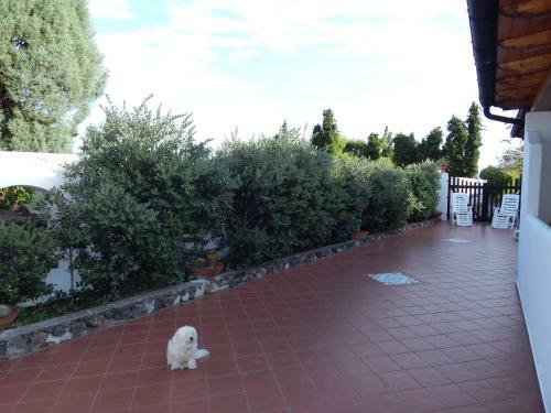 Bed & Breakfast Casa Arcada
