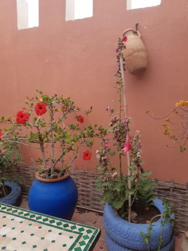 Bed & Breakfast Chambres D'h�tes Les Amis