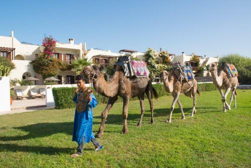 Bed & Breakfast Rebali Riads