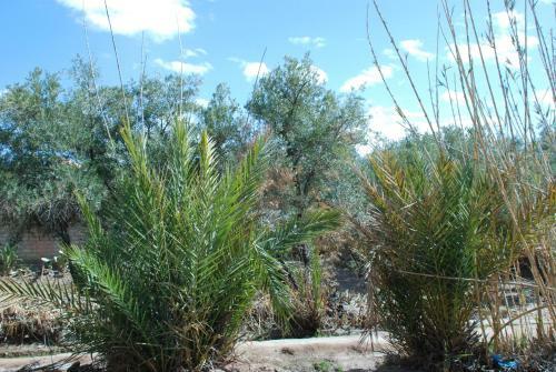 Agroturismo Dar Diafa