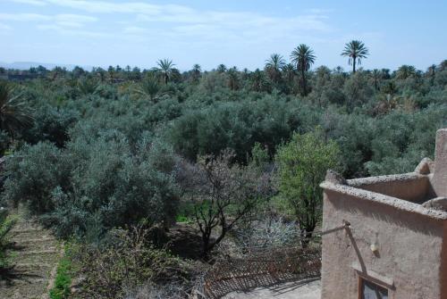 Agroturismo Dar Diafa