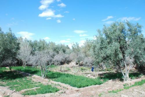 Agroturismo Dar Diafa