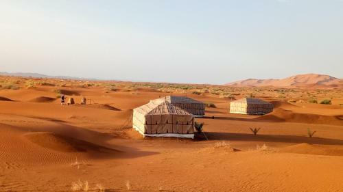 Night Desert Camp