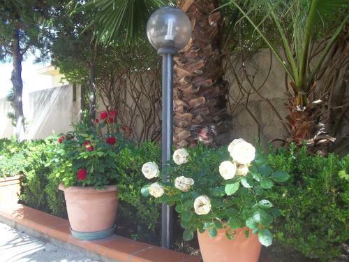 B&B Alla Stazione