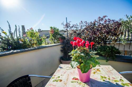 B&B Orvieto In Terrazza