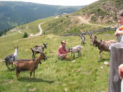 Bed & Breakfast Pension Laurin