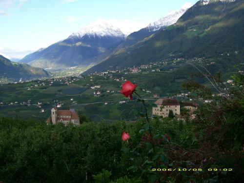 Bed & Breakfast Pension Laurin