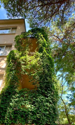Hotel Garni Picnic