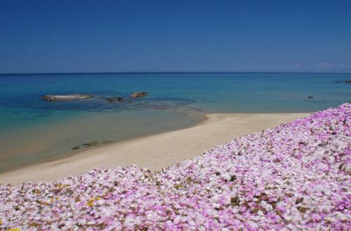 Bed & Breakfast Villa Piana