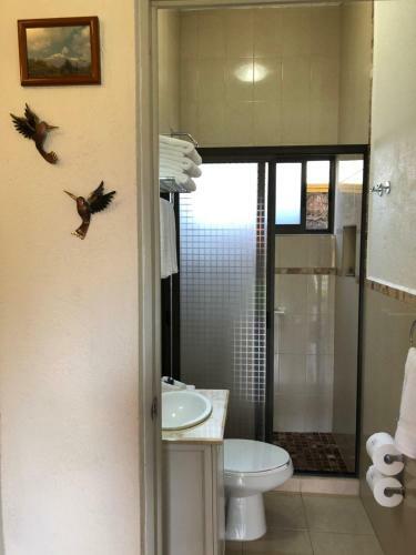 Villas Antares