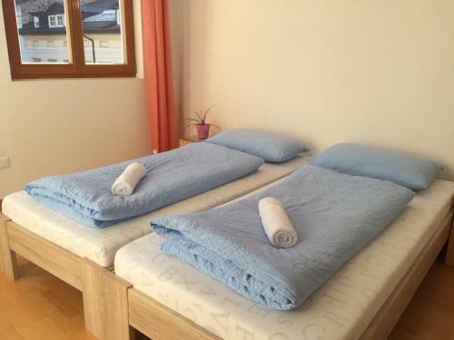 Hostal Argentieri Guesthouse