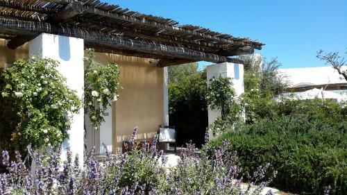 Hotel Masseria L'antico Frantoio