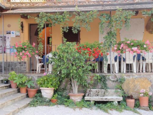 Hostal Agriturismo Poggio Pistolese