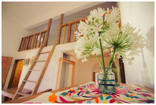 Bed & Breakfast Boca Del Monte By Diablo Y La Sandia