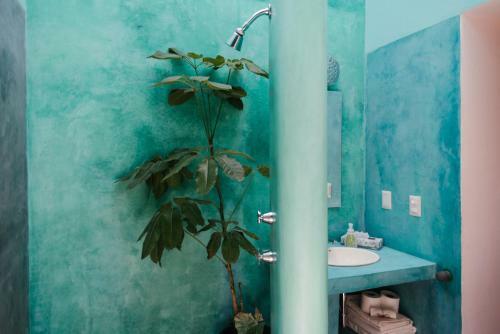 Bed & Breakfast Boca Del Monte By Diablo Y La Sandia