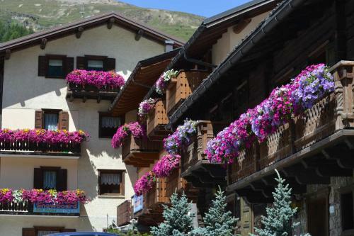 Apartamento Chalet Loredana