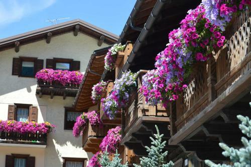 Apartamento Chalet Loredana