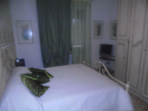 Tropical Bed&breakfast