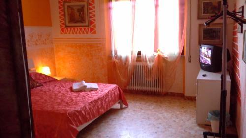Tropical Bed&breakfast