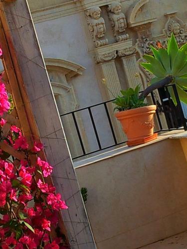Suite Con Terrazzo