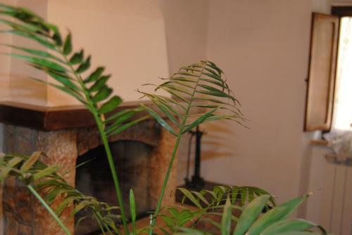 Apartamento La Ginestra