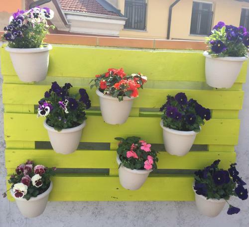 Hostal La Terrazza
