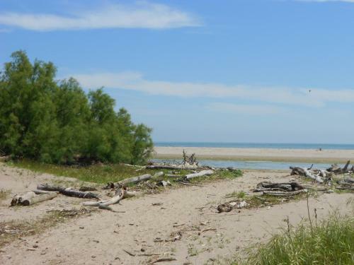 Apartamentos Villa Bianca