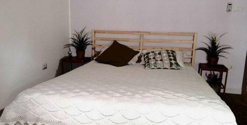 Salerno Inn B&B