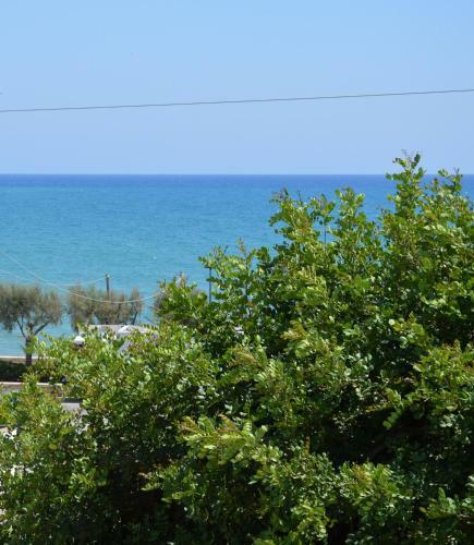 Villa Ammiragli 12