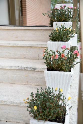 Hostal Villa Madalisa