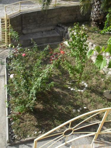 Hostal Guest House Marija