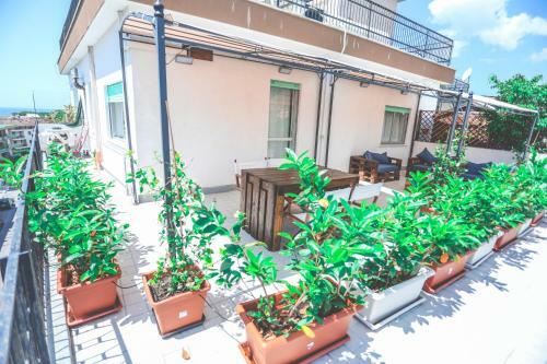 Hostal Il Viaggiatore Serapo