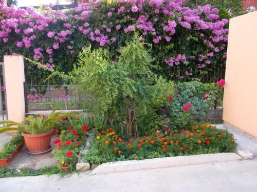 Hostal Sobe Nedovi?
