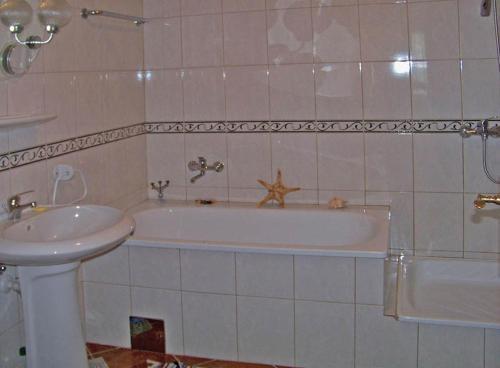 Apartment Vila Nelica