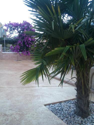 Apartments Vila A1
