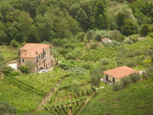 Agroturismo Agriturismo La Collina Verde