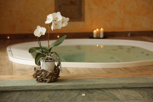 Bed & Breakfast Affittacamere La Luge D'antan
