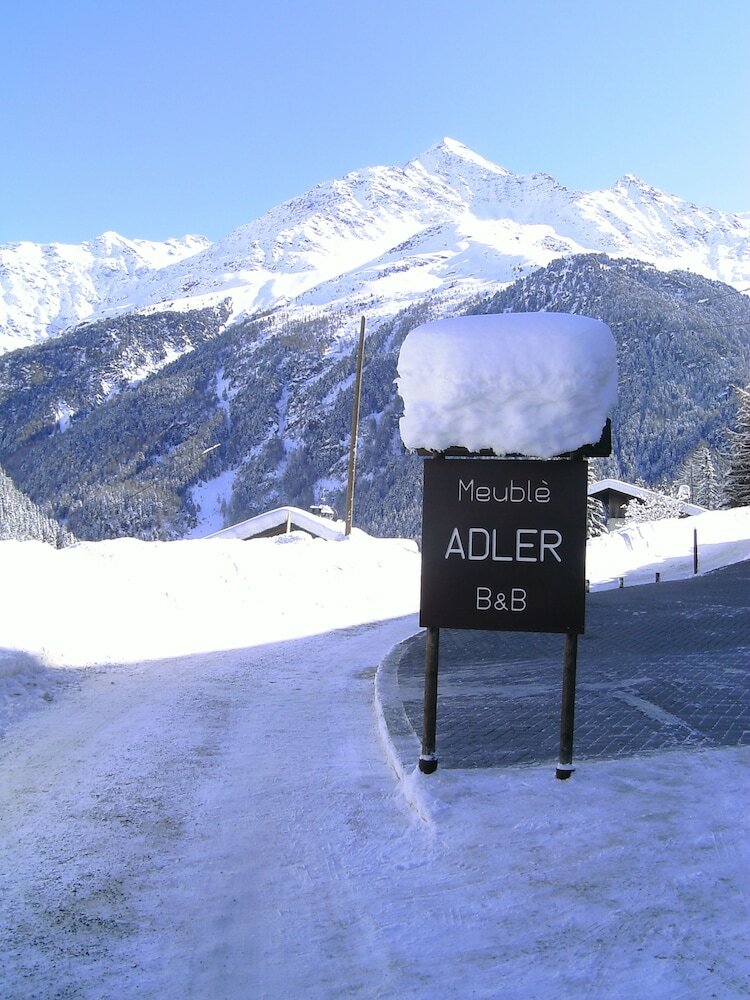 Hotel Meubl� Adler - Rooms & Mountain Apartments