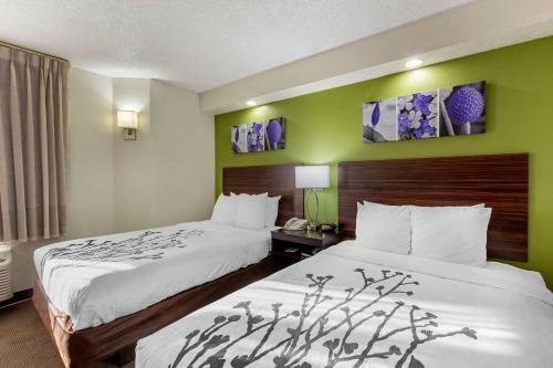 Hotel Sleep Inn Near Busch Gdns/usf