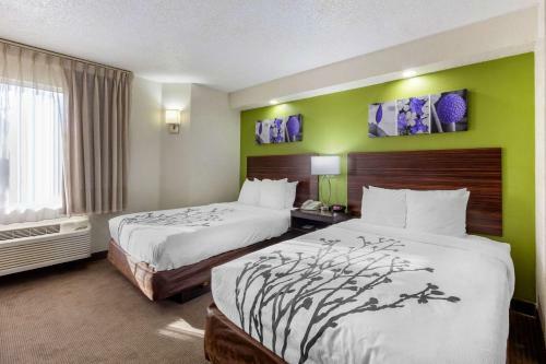 Hotel Sleep Inn Near Busch Gdns/usf