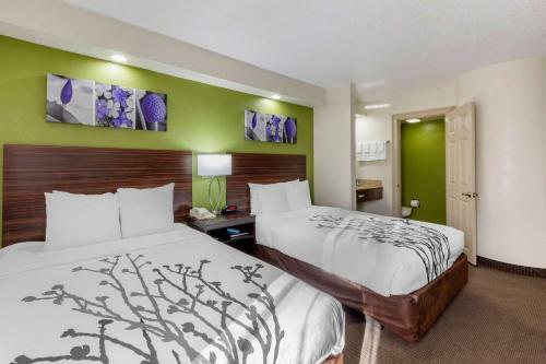 Hotel Sleep Inn Near Busch Gdns/usf