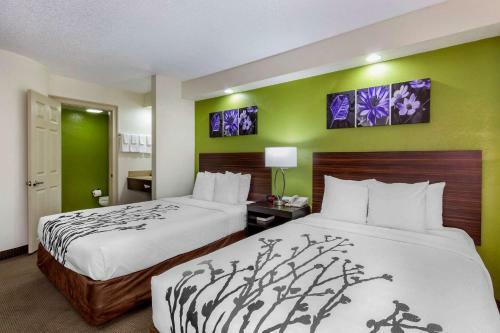 Hotel Sleep Inn Near Busch Gdns/usf