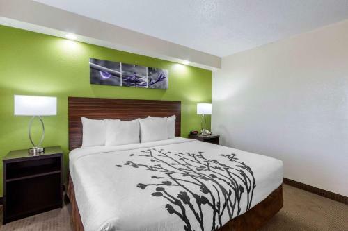 Hotel Sleep Inn Near Busch Gdns/usf